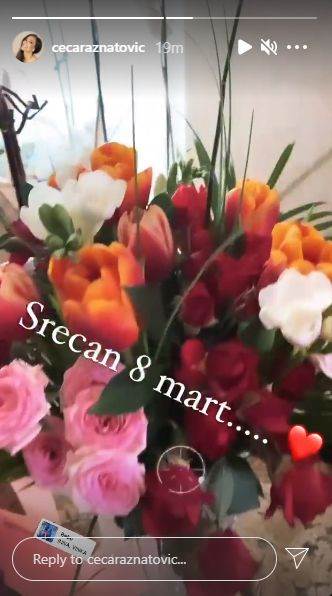 ceca raznatovic decko bogdan osmi mart pokloni iznenadjenje