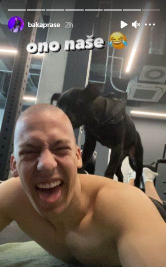 baka prase novcana kazna obi prase pas