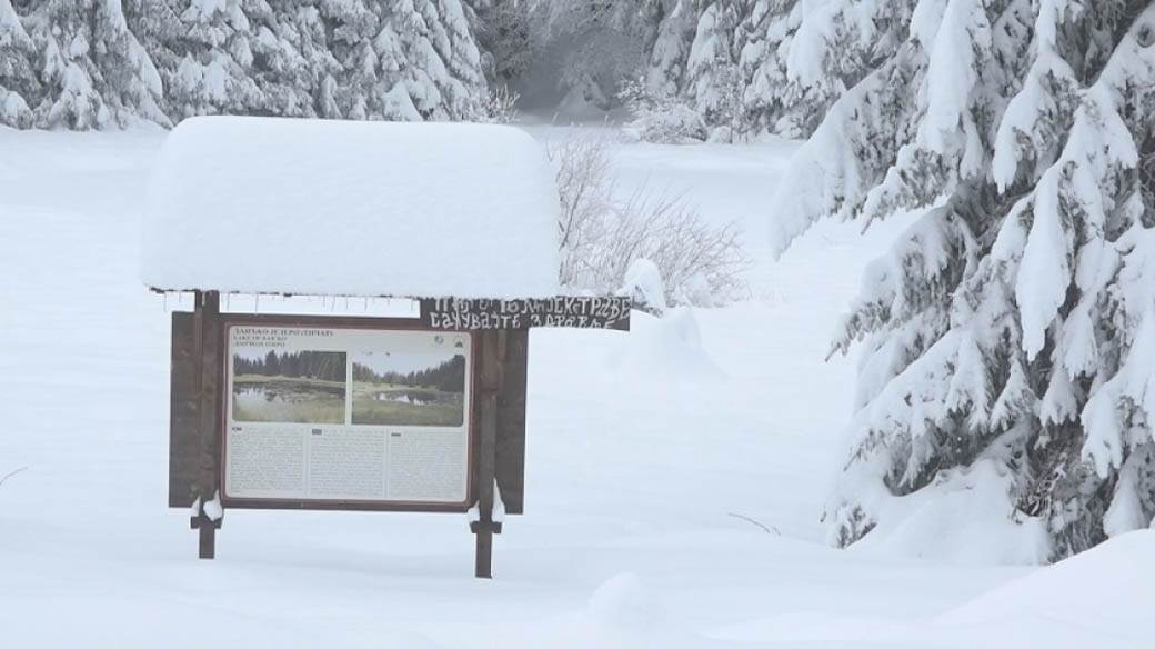 srbija vreme prognoza sneg mart 