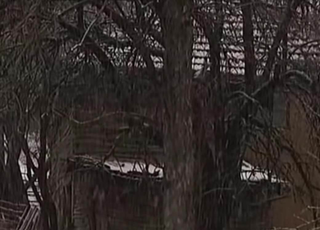 najstarija srpkinja pobedila korona virus 