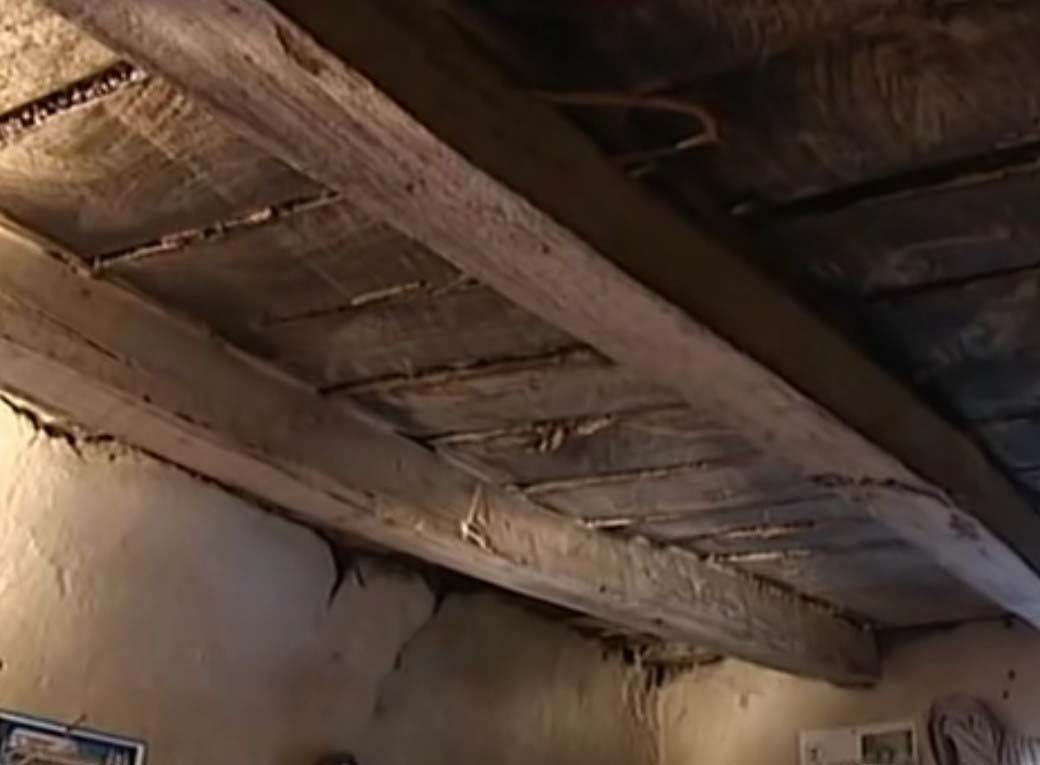 najstarija srpkinja pobedila korona virus 