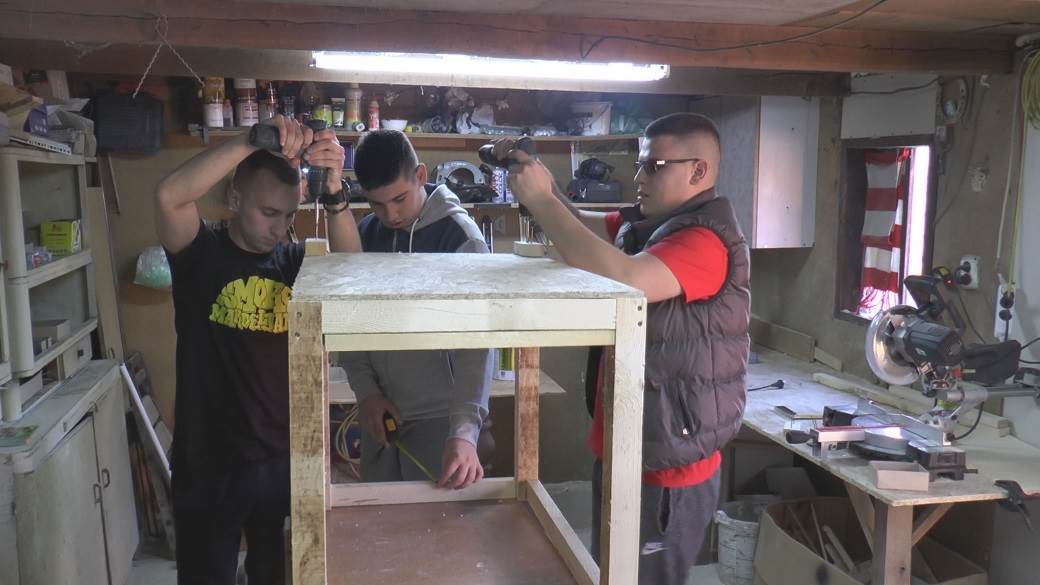 kucice za pse prodaja mladici iz cacka