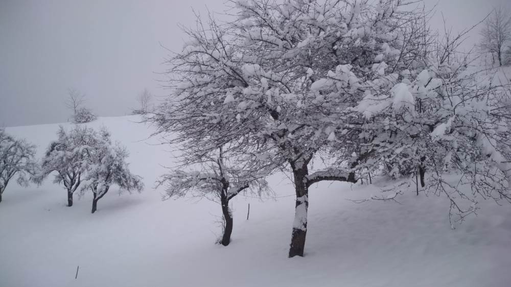 sneg kolaps putevi nova varos ivanjica golija javor