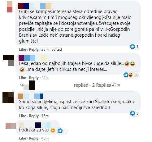 branislav lecic danijela stajnfeld silovanje reakcija zorana mihajlovic