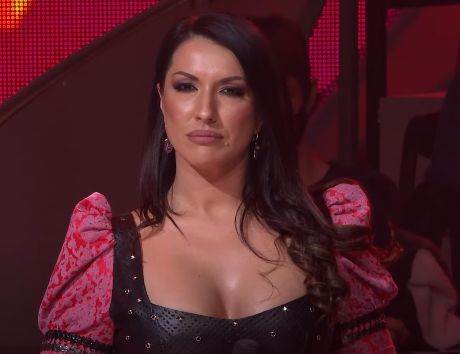 Honorari žirija u takmičenju Zvezde Granda