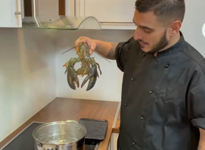 darko lazic darkova kuhinja verenica marina gagic 