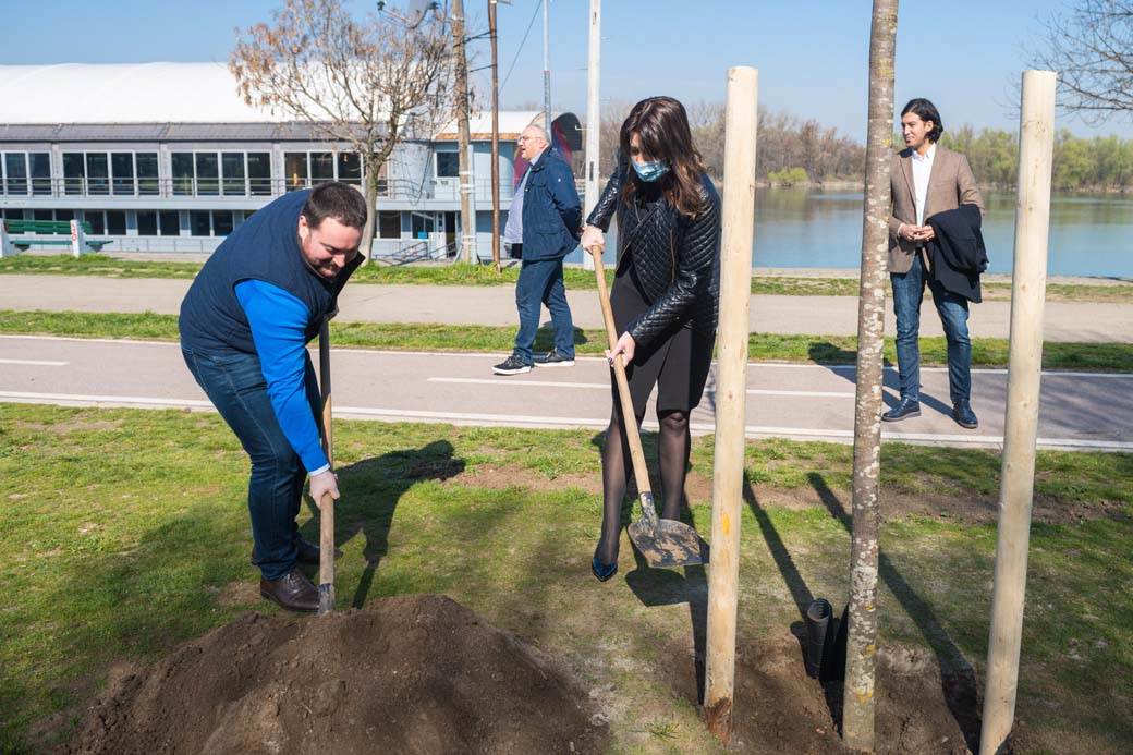  Evo gde će se se obrazovati nove male zelene oaze! sg2023