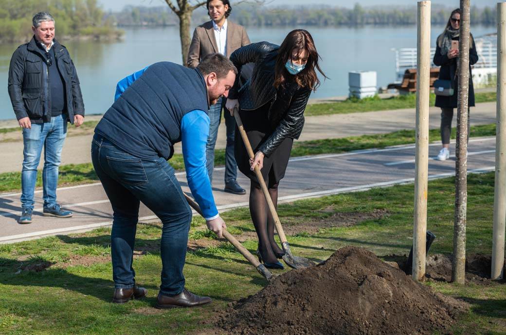  Evo gde će se se obrazovati nove male zelene oaze! sg2023