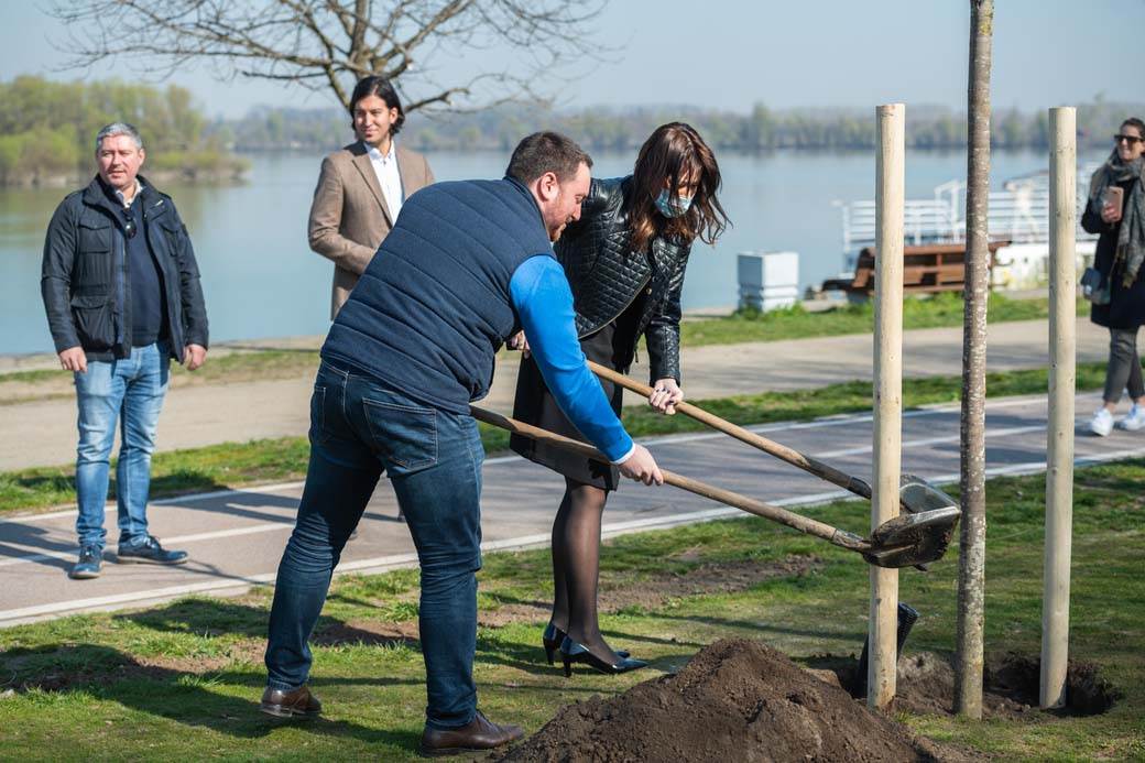  Evo gde će se se obrazovati nove male zelene oaze! sg2023