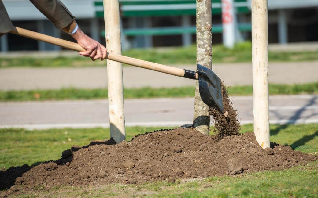  Evo gde će se se obrazovati nove male zelene oaze! sg2023