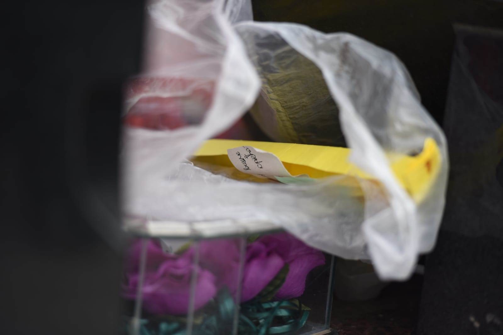 jelena marjanovic pomen zoran marjanovic groblje ubistvo pevacice