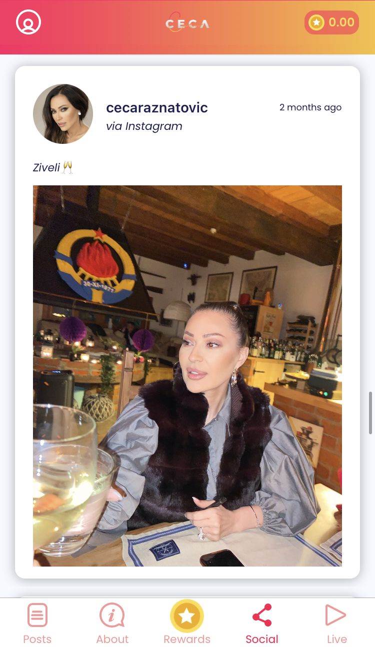 ceca raznatovic aplikacija veljko anastasija vesti nagrade