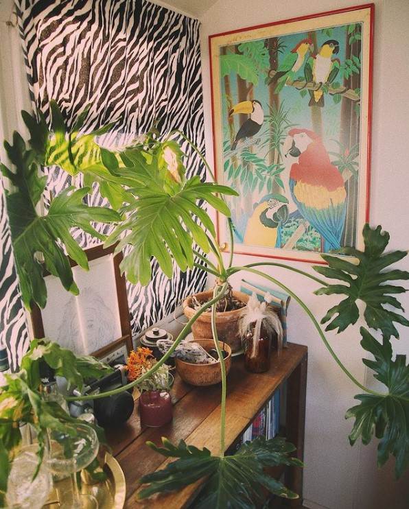 kuca na tockovima kuca preuredjen autobus