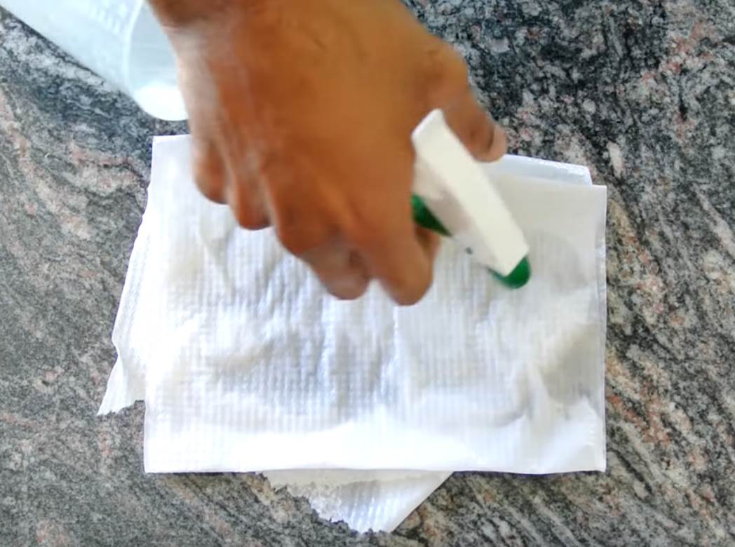 kako zasaditi drvo limuna u saksiji saveti foto 