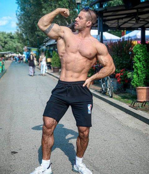 Nixa Zizu o deci, komentari na Tviteru