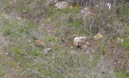 selo gornji bucumet medvedjaa lebane poludragi kamen