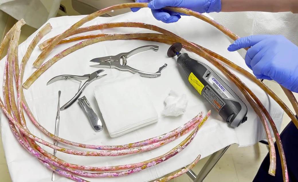 najduzi nokti na svetu ginisov rekord ajana vilijams odsekla nokte fotografije