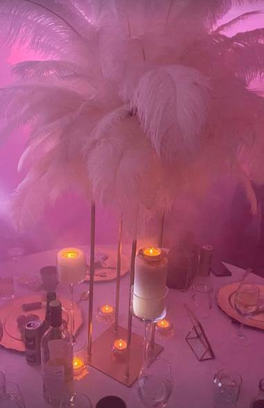 natasa rodic rodjendan proslava video