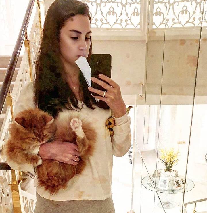 Palata Jelene bin Drai