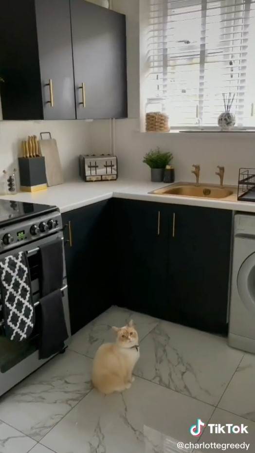 renoviranje kuhinje za male pare kako jeftino promeniti kuhinju