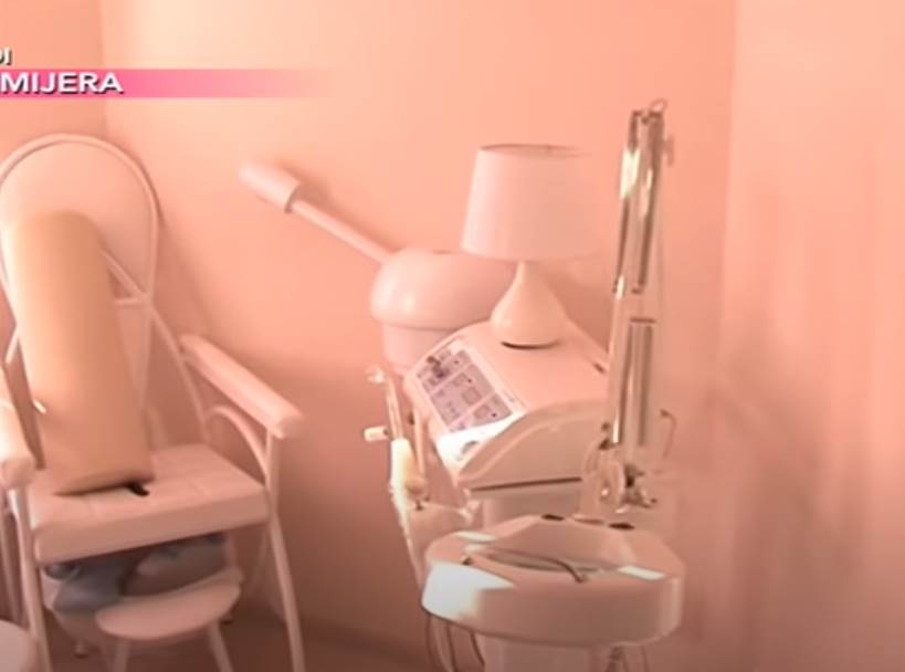 seka aleksic sinovi skola