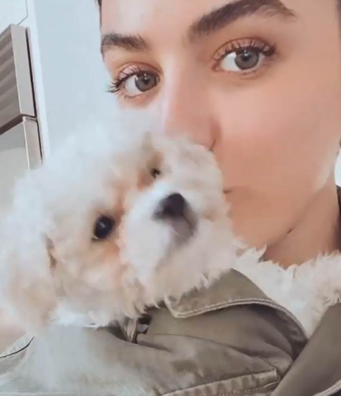 kako pokriti bubuljice