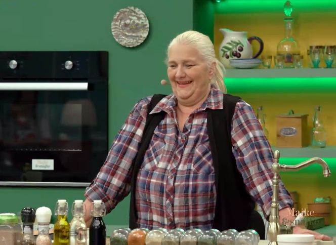 majke i snajke seka aleksic 20 epizoda 