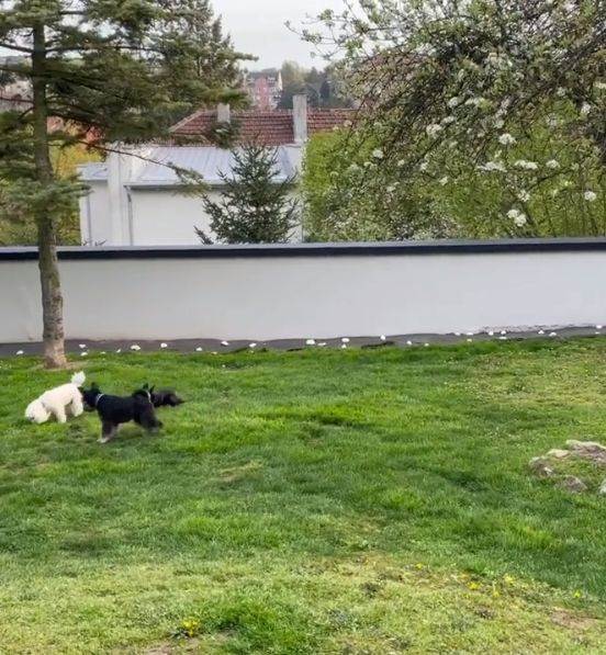 rados bajic raskosno imanje kuca gde zivi 