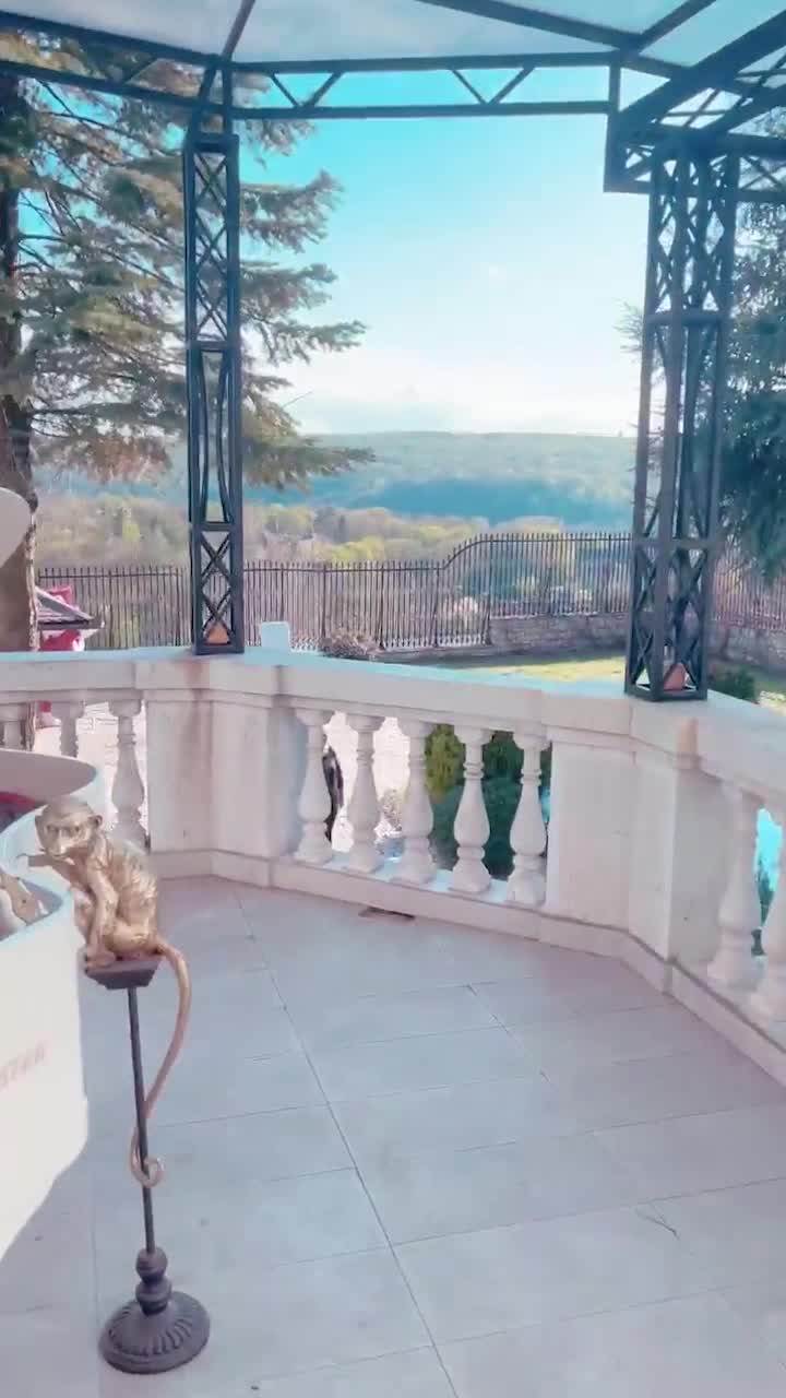 Koliko je bogata Jelena Karleuša