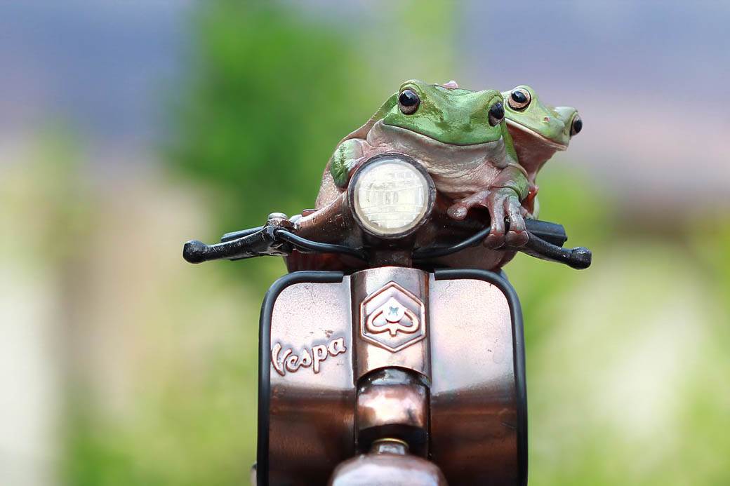 vespa 75 rodjendan motor najbolje fotografije