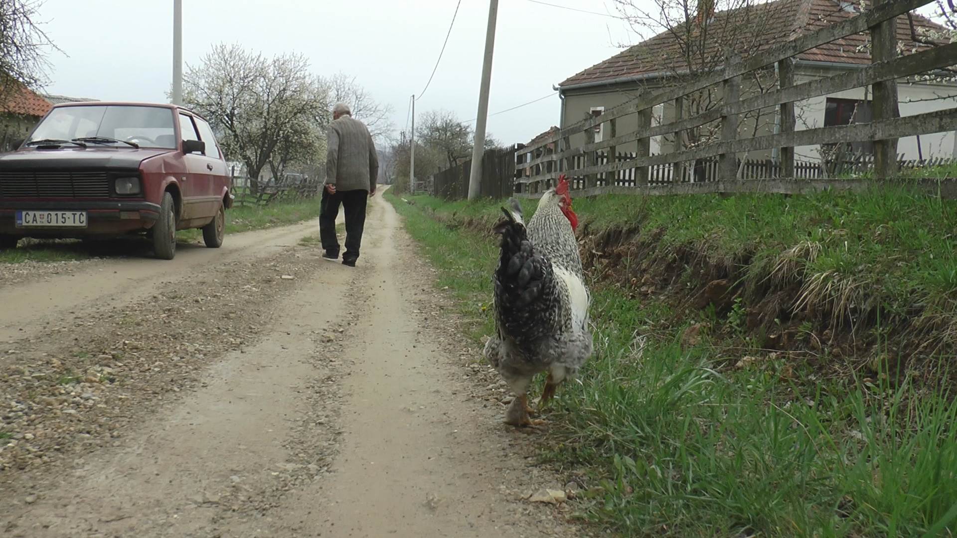 selo srezojevci zivi s petlom
