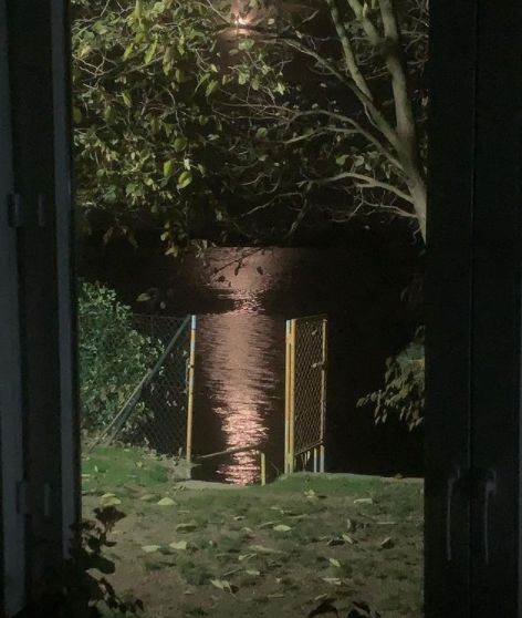 Kako izgleda žena Ace Amadeusa koju je ošišao i izbacio na ulicu bez ičega?