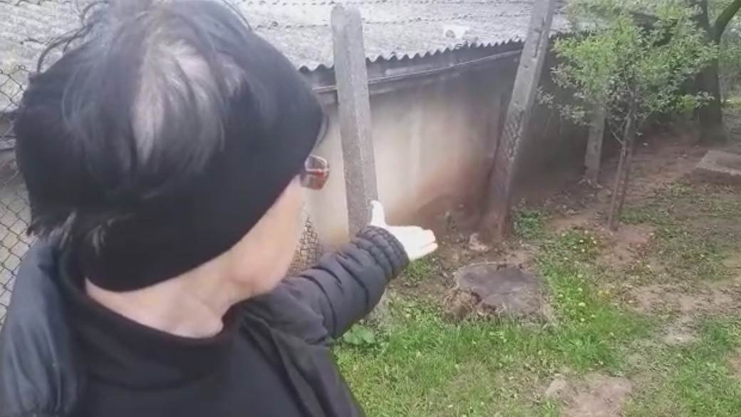 topola cvece okopavale bastu pronadjena bomba foto