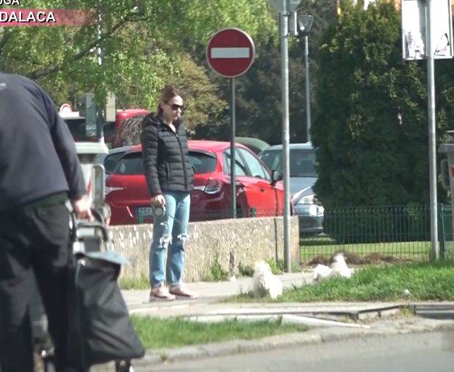 marijana micic kaznjava psa oglasila se