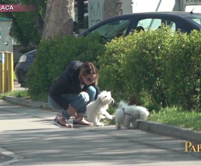 marijana micic kaznjava psa oglasila se