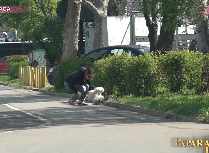 marijana micic kaznjava psa oglasila se