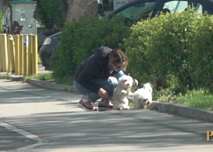marijana micic kaznjava psa oglasila se