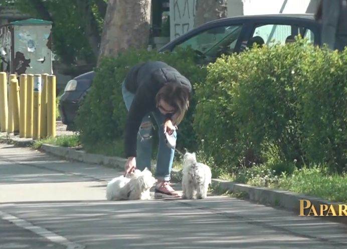 marijana micic kaznjava psa oglasila se