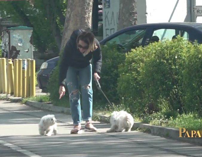 marijana micic kaznjava psa oglasila se