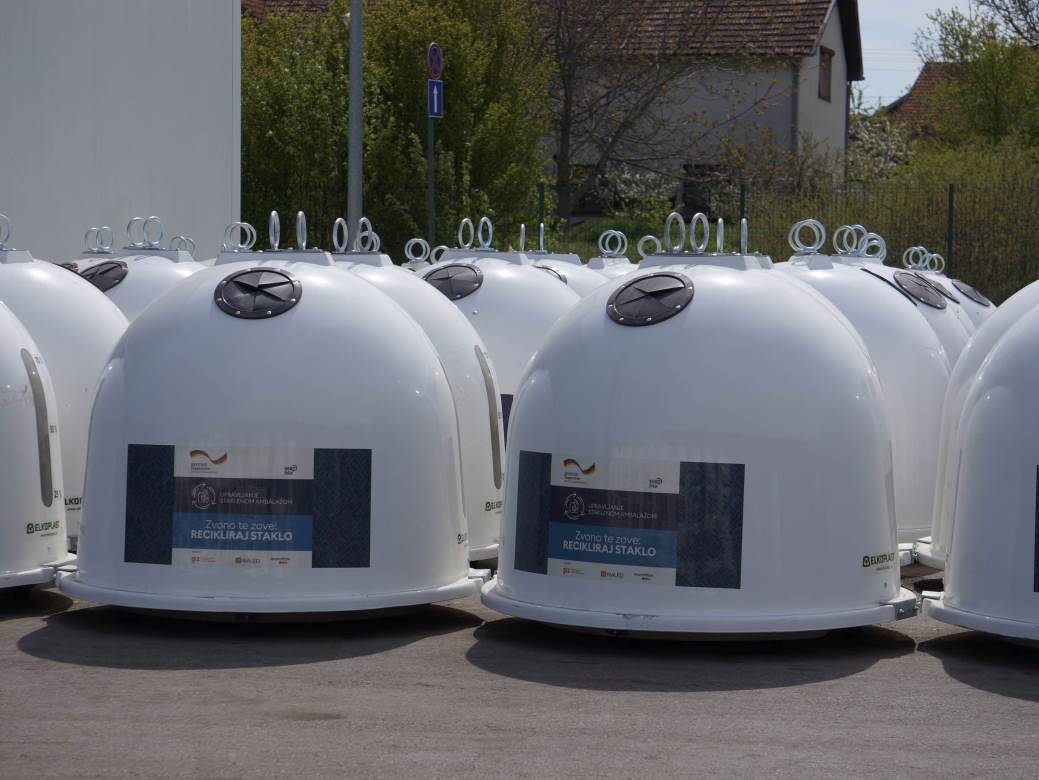 apatinska pivara sadnice jasena apatin