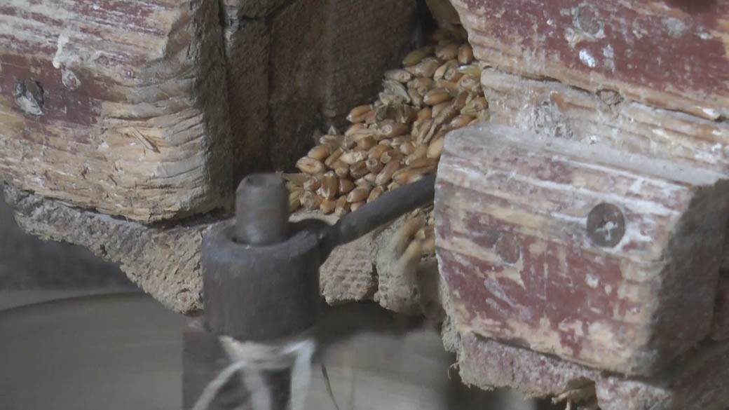 sava savanovic vampir vodenica fotografija