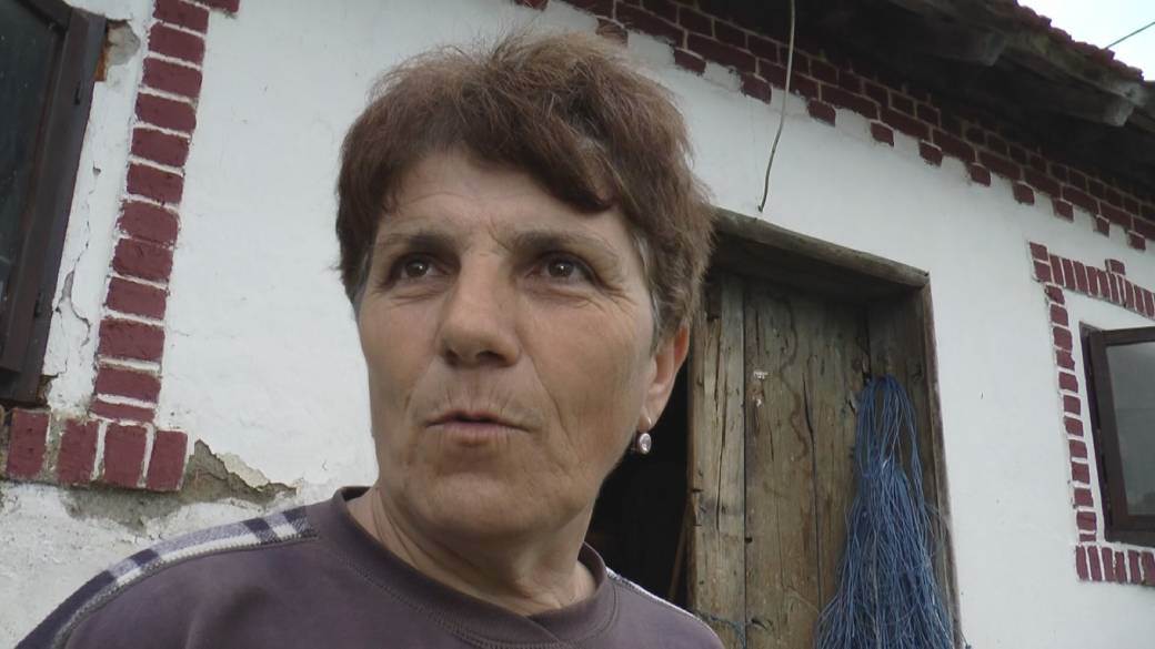 pevac pirgo kostunici lezi na jajima porodica veskovic