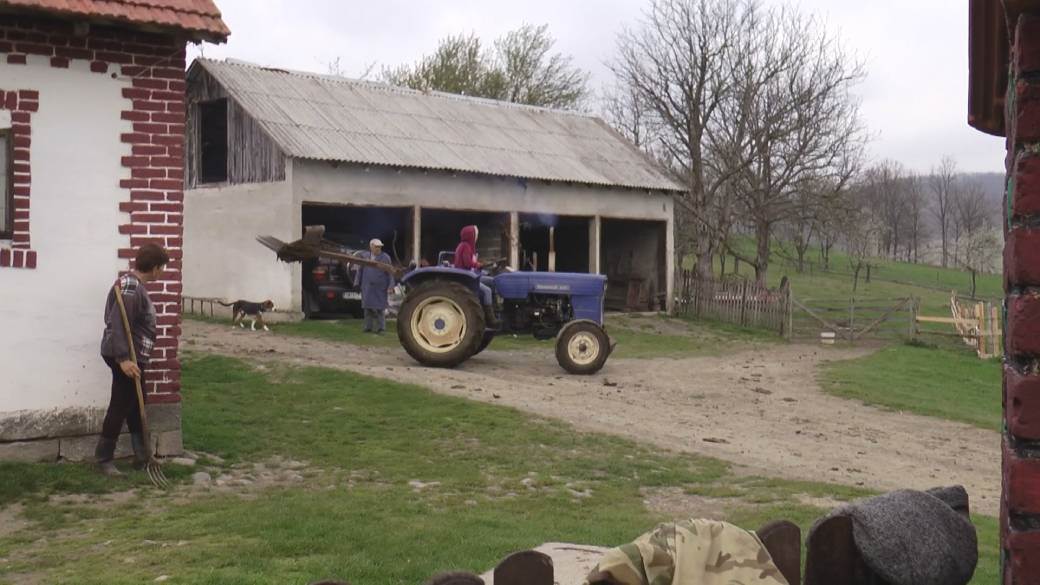 pevac pirgo kostunici lezi na jajima porodica veskovic