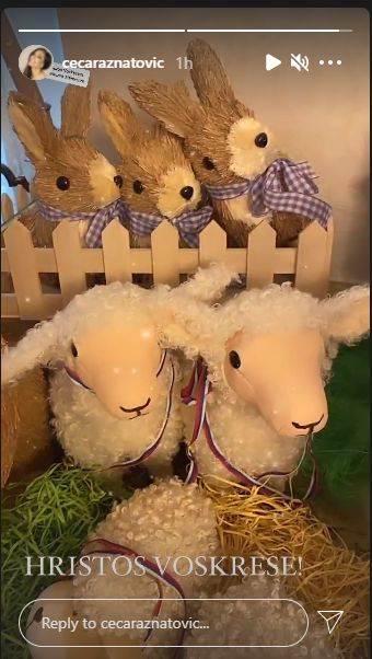 ceca raznatovic uskrs dekoracija savlje u kuci