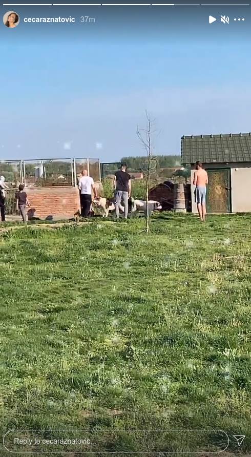 veljko bogdana titel komsije otkrile kako zive