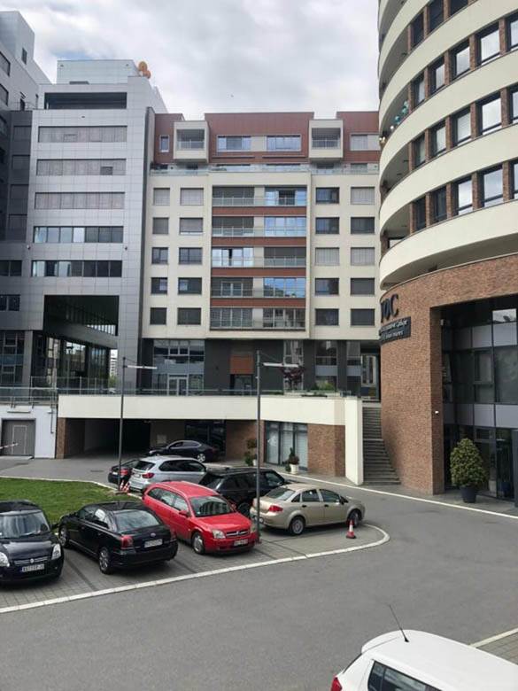 vesna djogani djole djogani skandal prevara