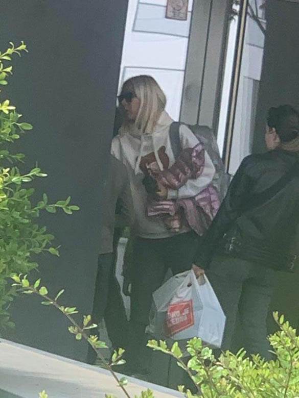 vesna djogani djole djogani skandal prevara