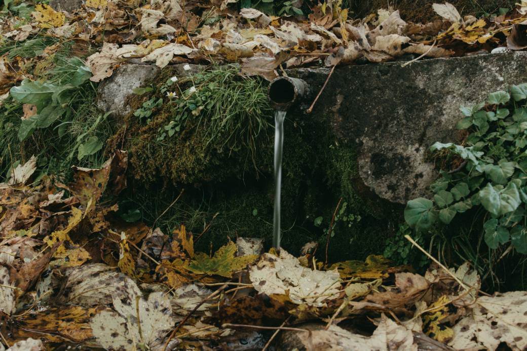 planina bobija ljubovija fotografija