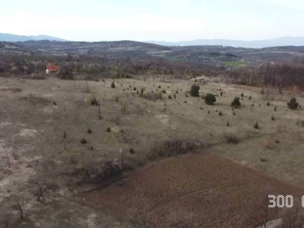 kopaonik planina englez srpkinja zivot priroda drvena kucica 