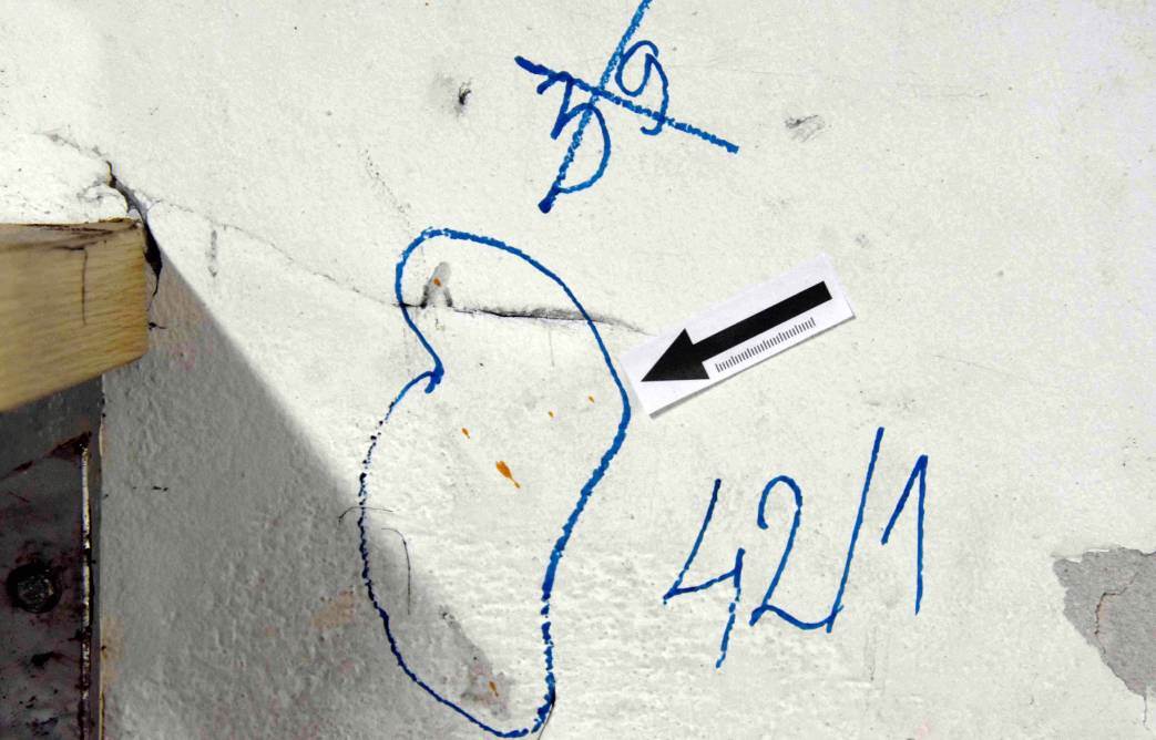 velja nevolja istraga zlocini ubistva nove informacije detalji aleksandar vulin